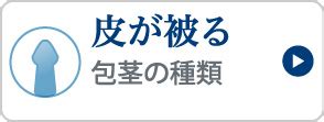 包茎の種類｜包茎手術・治療の皐月クリニッ